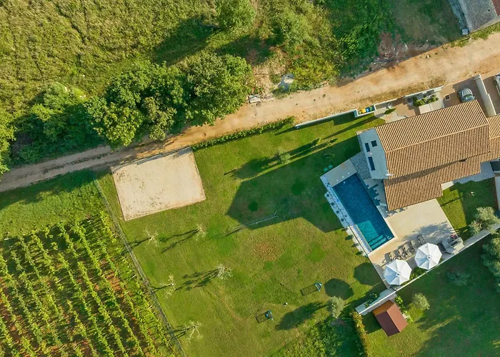 Stellar 브르토니글라